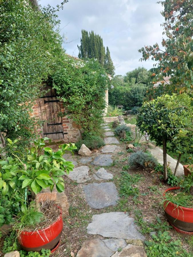 Le Mas Du Galibot Chambre Cambalotte Saint-Florent-sur-Auzonnet Zewnętrze zdjęcie