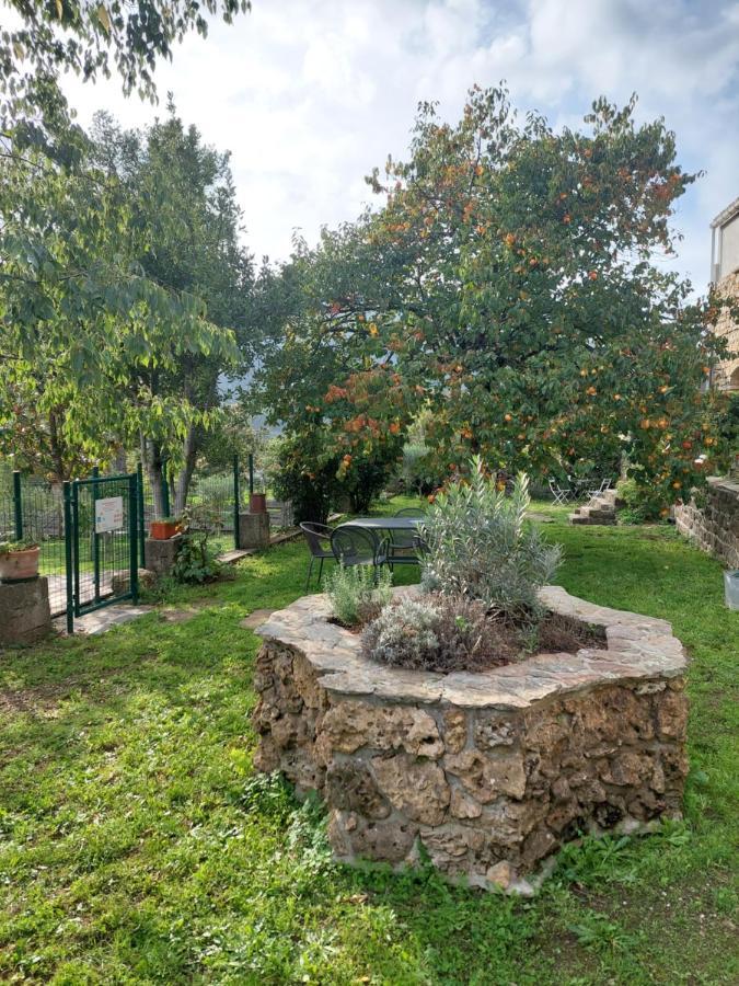 Le Mas Du Galibot Chambre Cambalotte Saint-Florent-sur-Auzonnet Zewnętrze zdjęcie