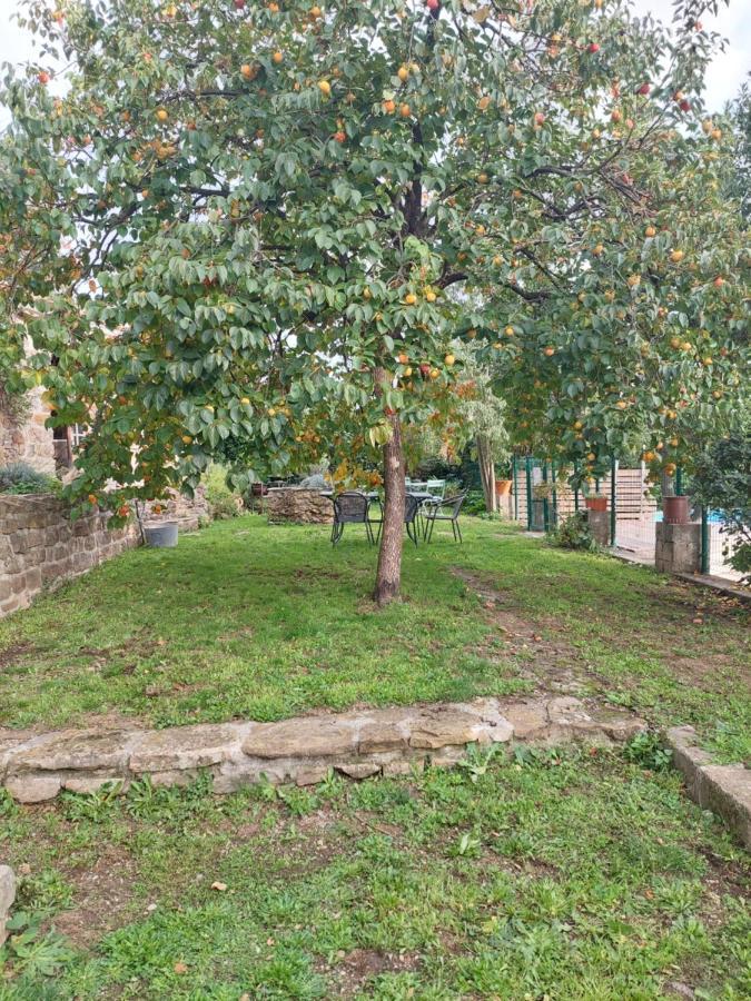 Le Mas Du Galibot Chambre Cambalotte Saint-Florent-sur-Auzonnet Zewnętrze zdjęcie